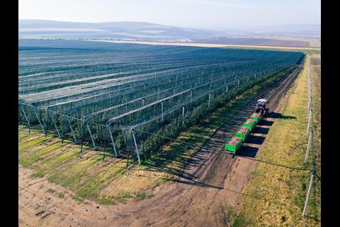 Moldova has invested in modernising its orchards in recent years